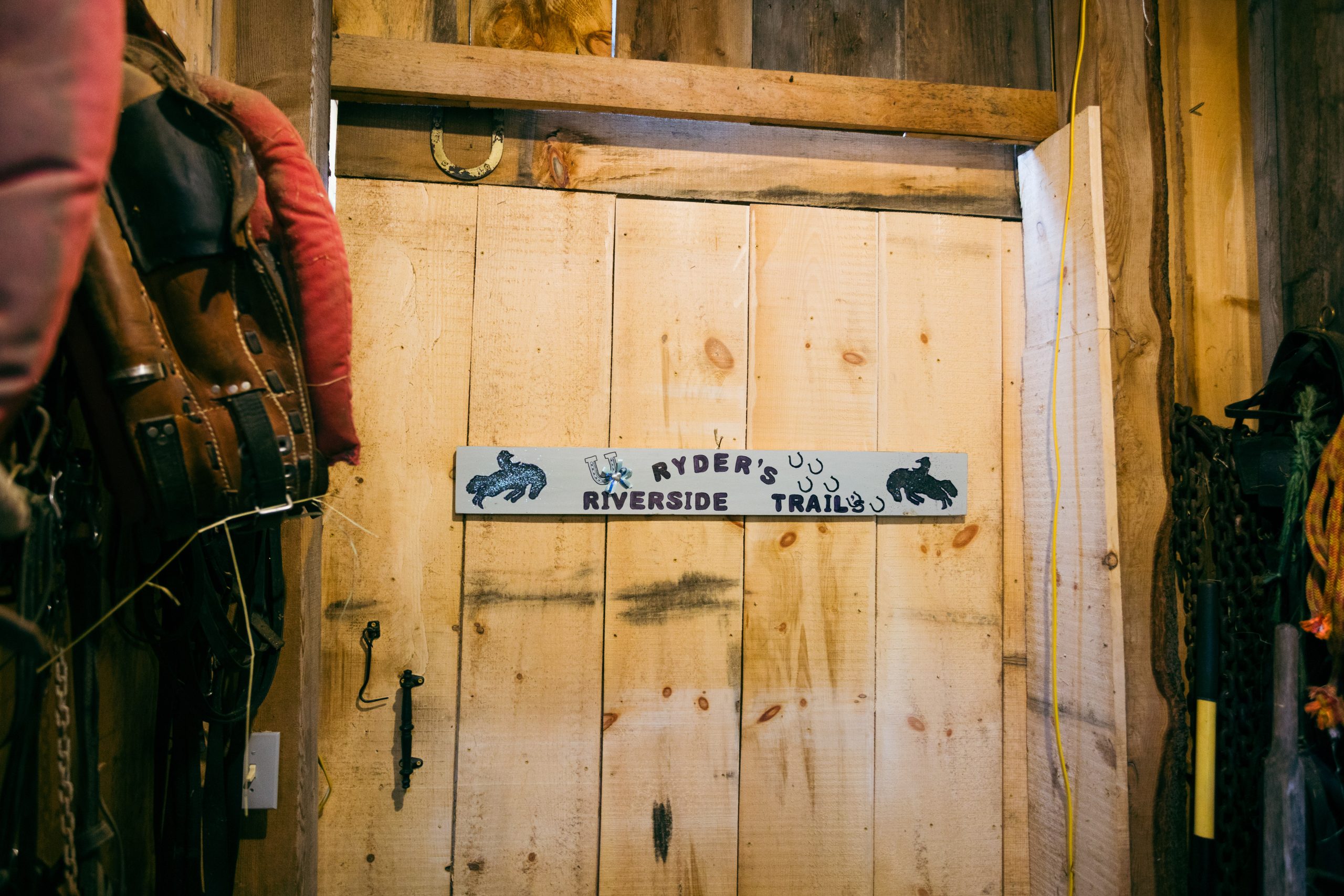 Horse and rider on the trail