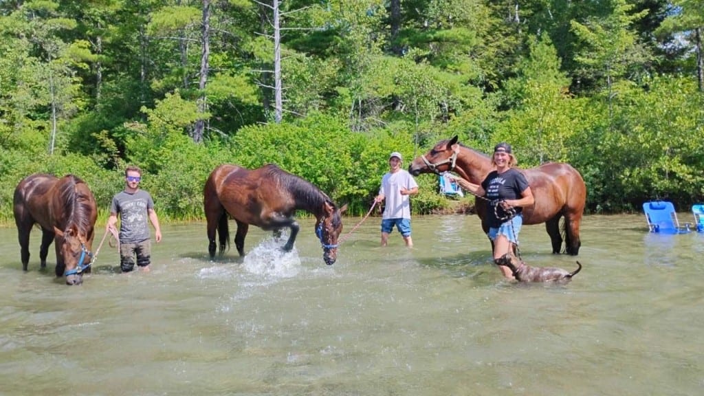 Horses cooling off in the river with riders nearby