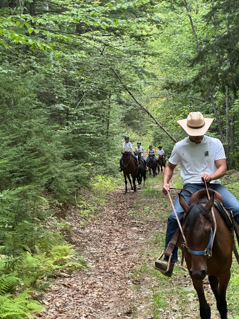 Guided trail ride through the Ossipee woods